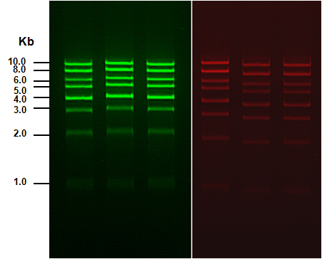 Green_RedView Figure 4