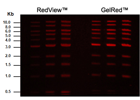 Green_RedView Figure 1