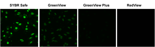 Green_RedView Figure 2