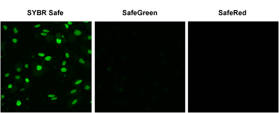 Green_RedView Figure 5
