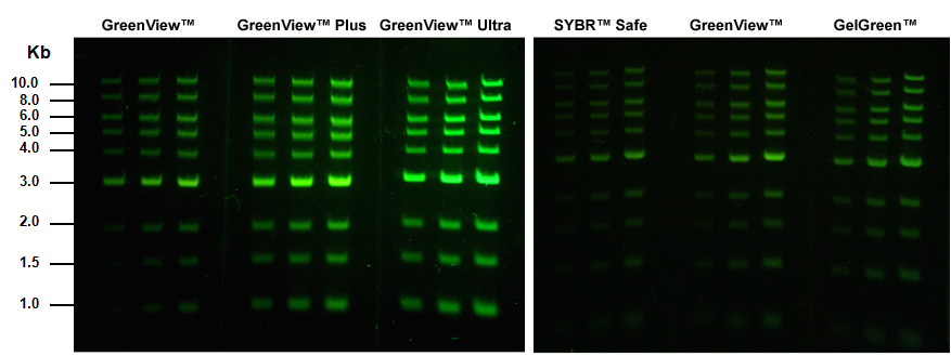 Green_RedView Figure 1